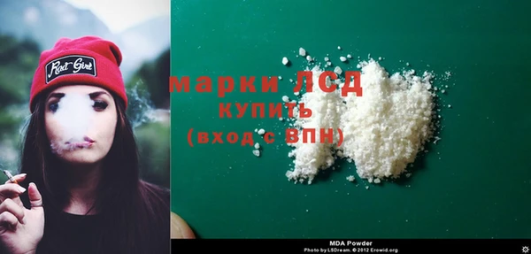 стаф Новодвинск