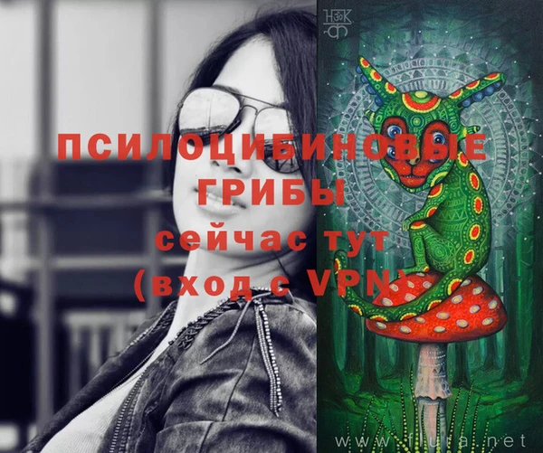 стаф Новодвинск
