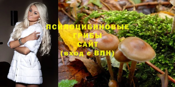 бошки Новокубанск