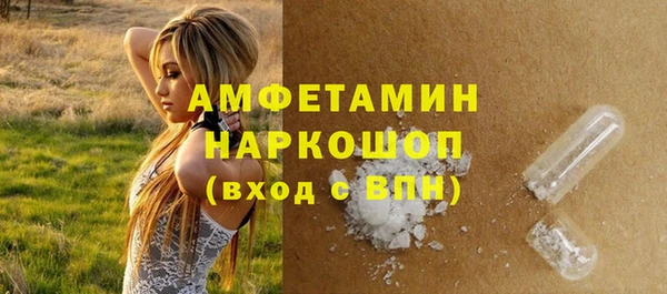 стаф Новодвинск