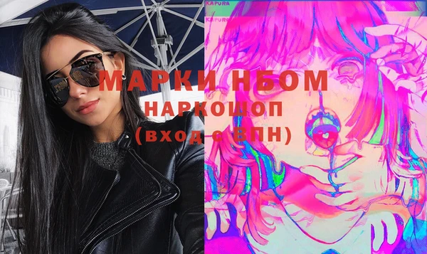 стаф Новодвинск