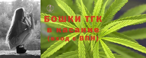 стаф Новодвинск