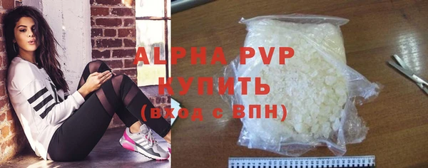 стаф Новодвинск