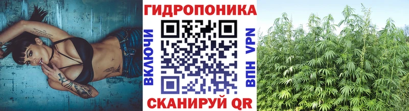 Канабис ГИДРОПОН Рязань